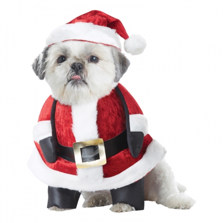 jultomte-hund-maskeraddrakt-1.jpg