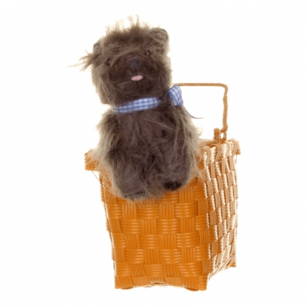 toto-in-a-basket-1.jpg