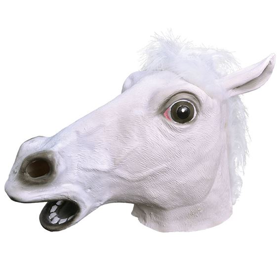 hastmask-vit-1.jpg
