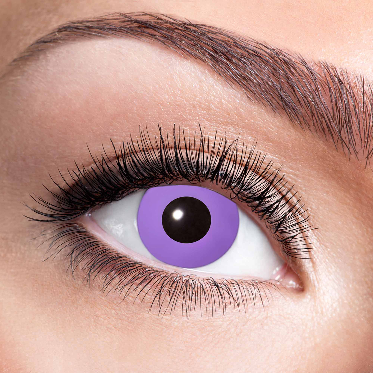 202630_farglinserviolet
