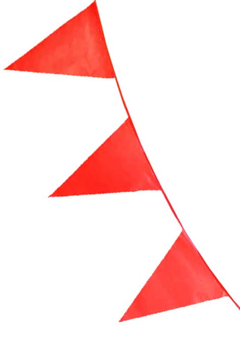 205281_flaggirlang_rod