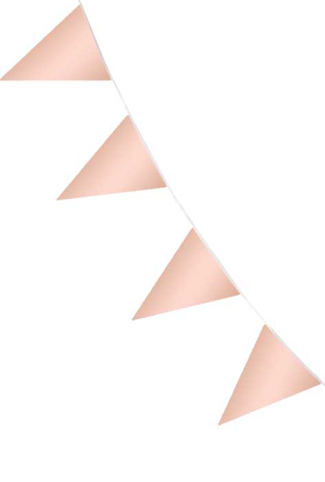 205296_flaggiralng_roseguld