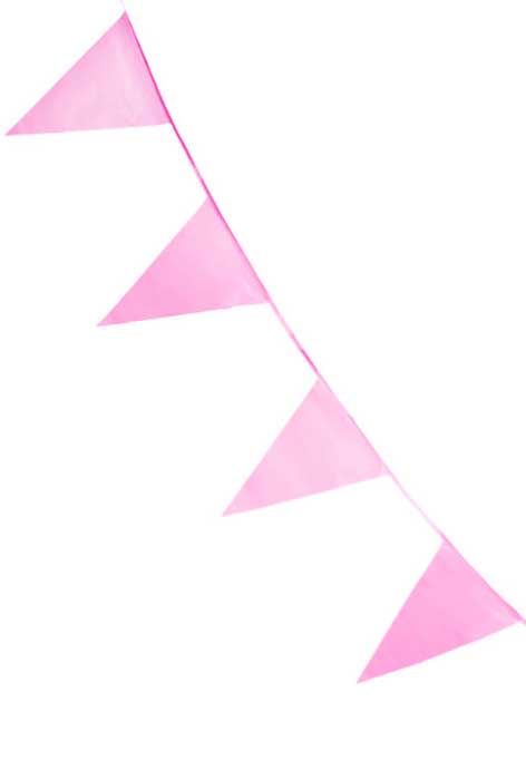220171_flaggirlang_rosa