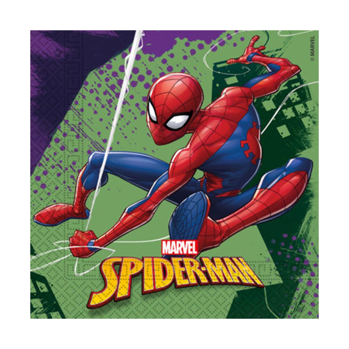 240202_servetter_spiderman_20st