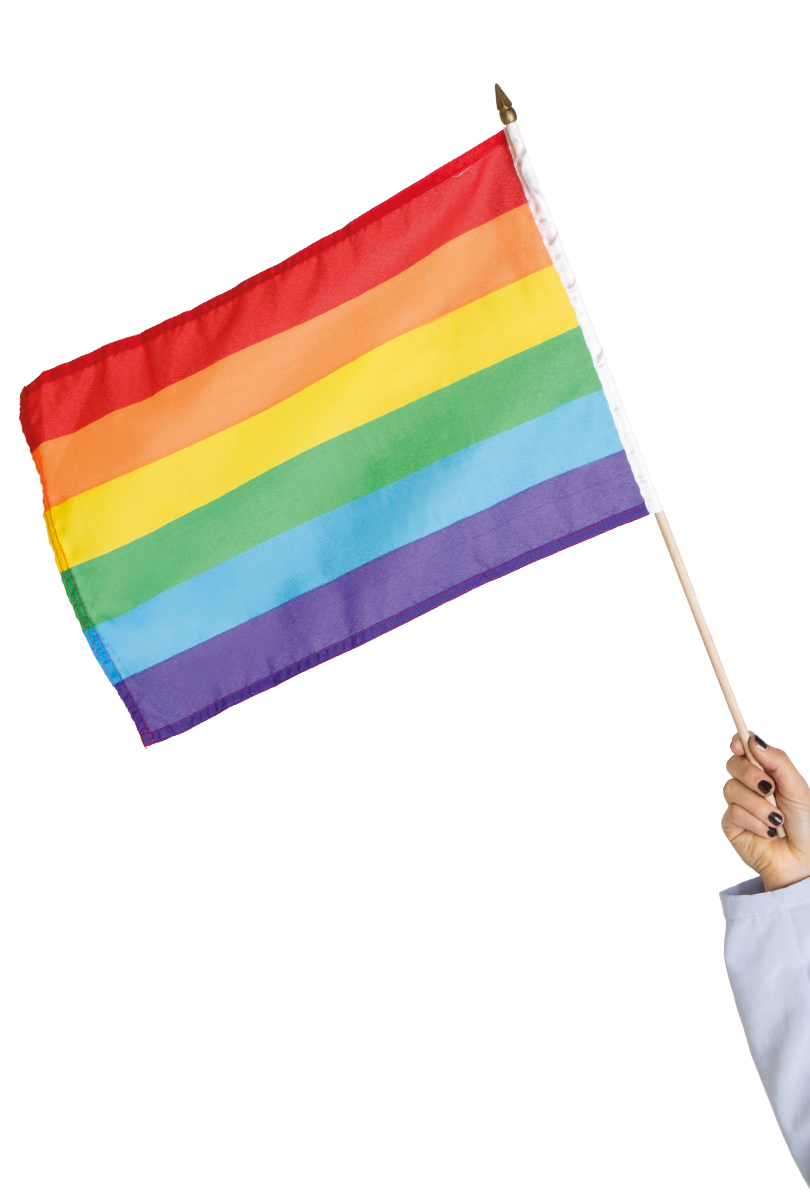 500218_prideflaggatyg1